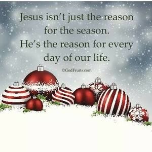 Meet your Posher, Elnita